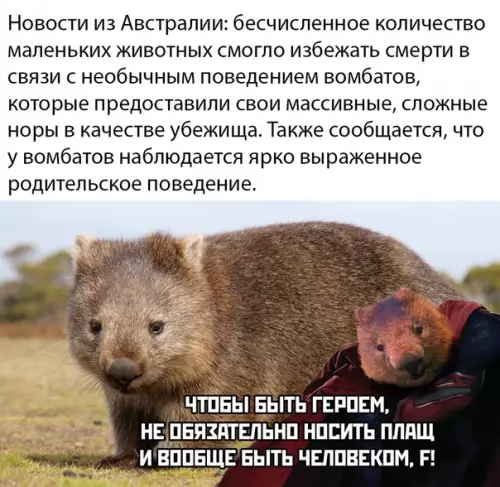 Смешная картинка №442672