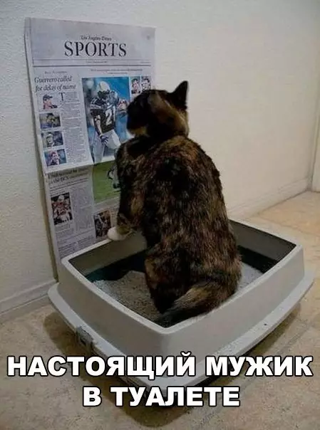 Смешная картинка №192171