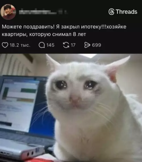 Кот и ипотека - Можете поздравить! Я закрыл ипотеку!!!хозяйке квартиры, которую снимал 8 лет