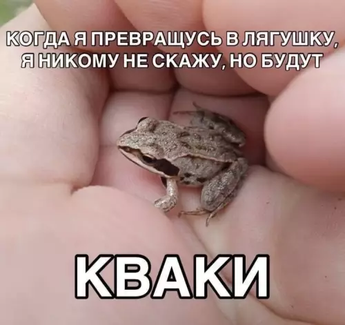 Смешная картинка №778384