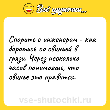 Шутка: Спорить с инженером - как бороться со свиньей в грязи. Через несколько часов понимаешь, что свинье это нравится.