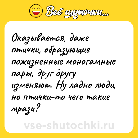 Шутка: Оказывается, даже птички, образующие пожизненные моногамные пары, друг другу изменяют. Ну ладно люди, но птички-то чего такие мрази?
