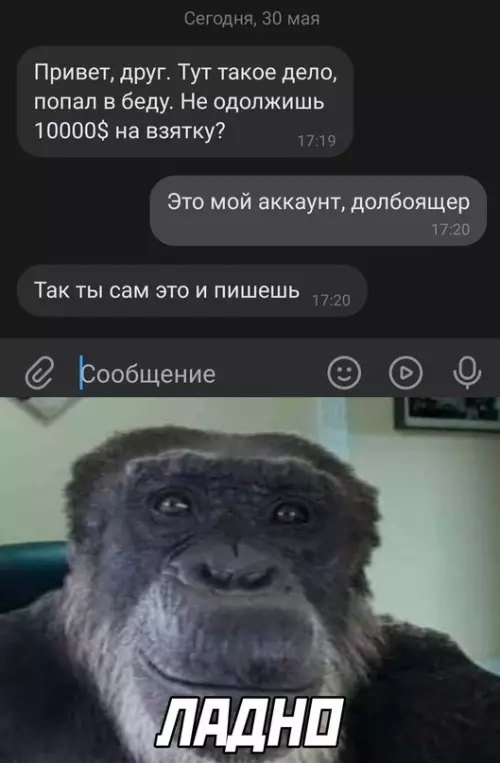 Смешная картинка №685803 Переписка