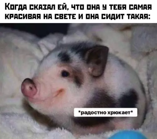 Смешная картинка №426391