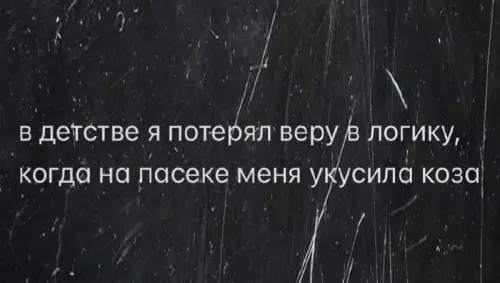 Логика вышла из чата 🐐💥 - в детстве я потерял веру в логику, когда на пасеке