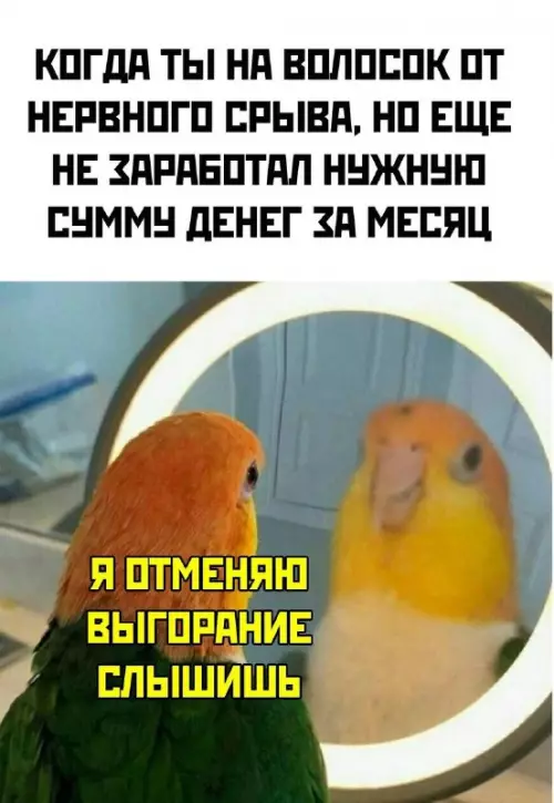 Смешная картинка №737808