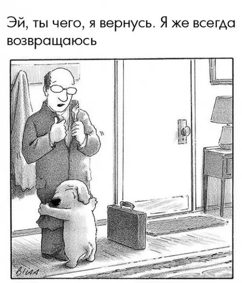 Смешная картинка №297885 И так каждое утро