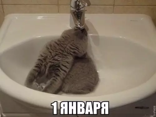 Смешная картинка №235812
