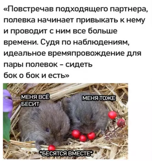 Смешная картинка №753648