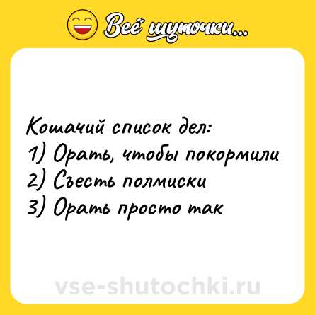 Шутка: Кошачий список дел: <br>1) Орать, чтобы покормили <br>2) Съесть полмиски <br>3) Орать просто так