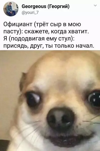 Смешная картинка №503681 Немного о моей любви к сыру