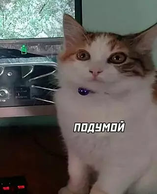 продолжение Смешная картинка №687729