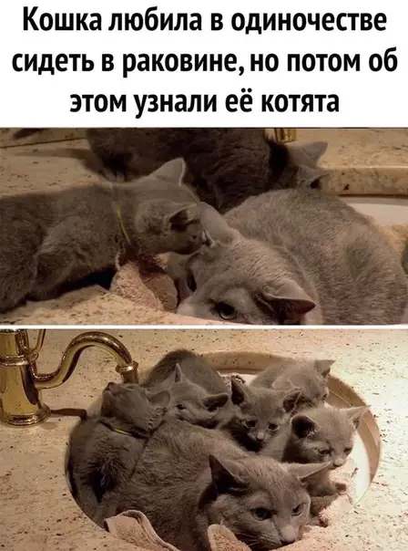 Смешная картинка №535904 ?