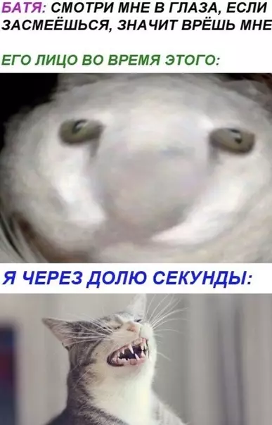 Смешная картинка №480720