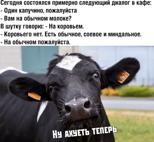 Смешная картинка №390857