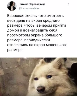 Смешная картинка №683763
