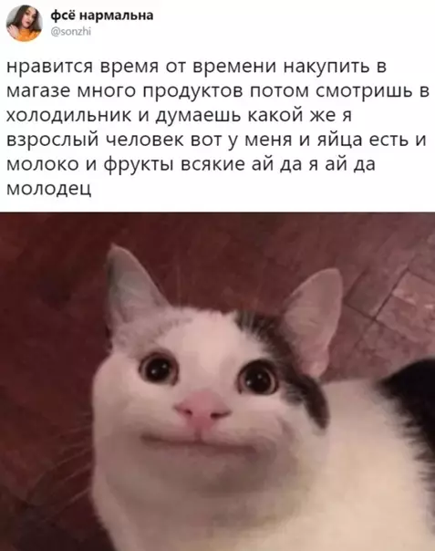 Смешная картинка №540752 Жизa