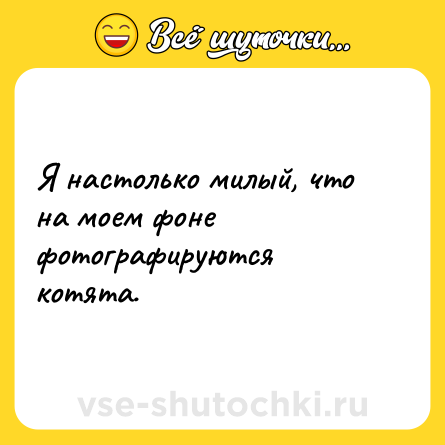 Шутка: Я настолько милый, что на моем фоне фотографируются котята.