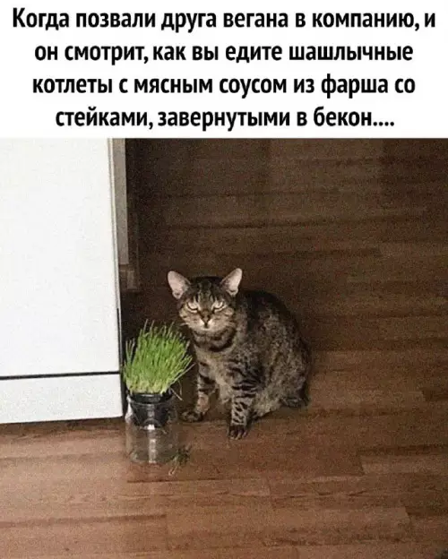 Смешная картинка №689472