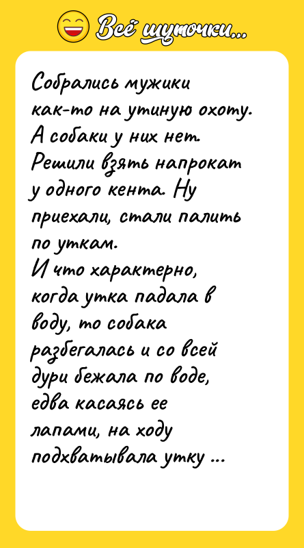 Собрались мужики как-то на утиную охоту. А собаки у них