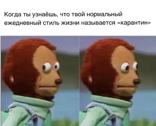 Твой образ жизни — это режим выживания 🐒 - Когда ты узнаёшь, что твой нормальный ежедневный стиль жизни называется