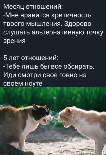 Смешная картинка №761057