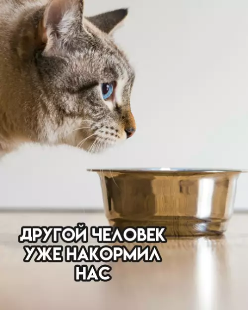 Смешная картинка №781237