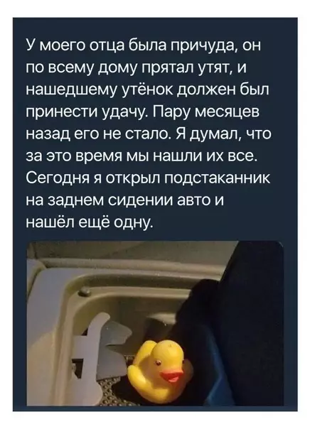 Смешная картинка №539290 Mилo