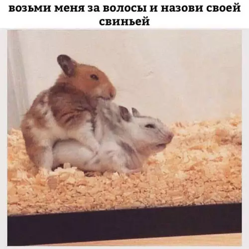 Смешная картинка №199862