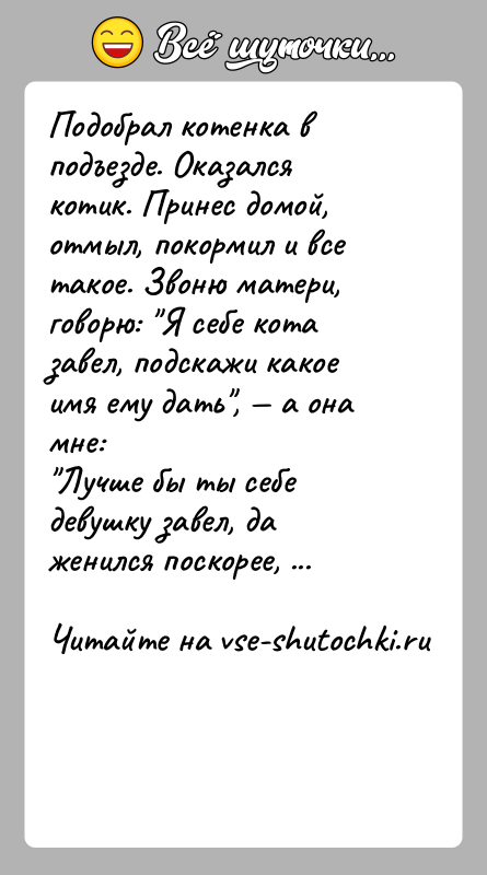 История: Подобрал котенка в подъезде. Оказался котик. Принес домой, отмыл, покормил и все такое. Звоню матери, говорю: Я себе кота завел,