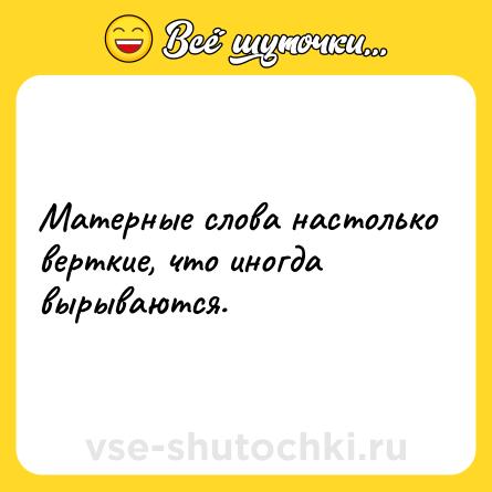 Шутка: Матерные слова настолько верткие, что иногда вырываются.