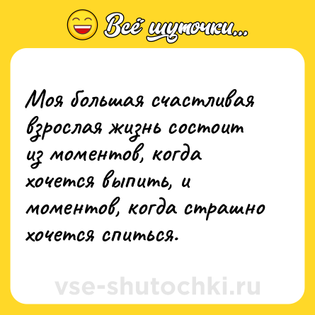 Шутка: Моя большая счастливая взрослая жизнь состоит из моментов, когда хочется выпить, и моментов, когда страшно хочется спиться.