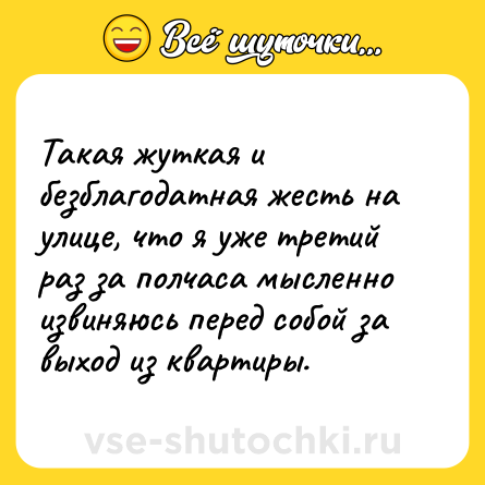 Шутка: Такая жуткая и безблагодатная жесть на улице, что я уже третий раз за полчаса мысленно извиняюсь перед собой за выход из квартиры.