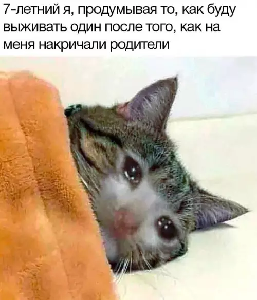 Смешная картинка №676211 дети