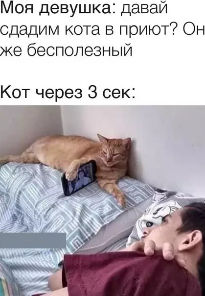 Смешная картинка №574671