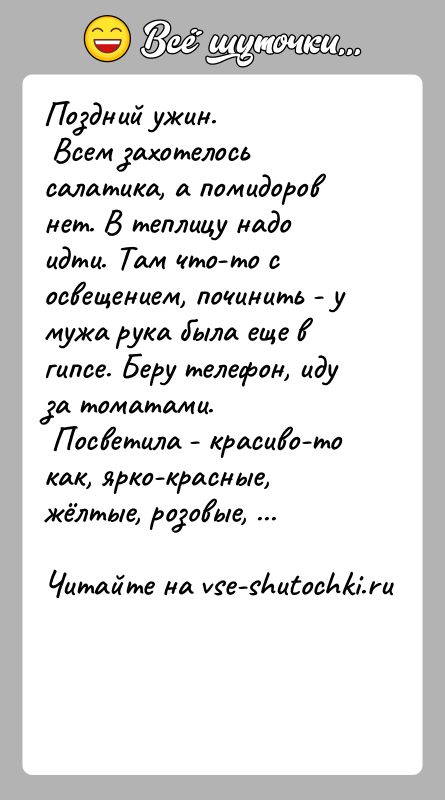 История: Поздний ужин. Всем захотелось салатика, а помидоров нет. В теплицу надо идти. Там что-то с освещением, починить - у мужа