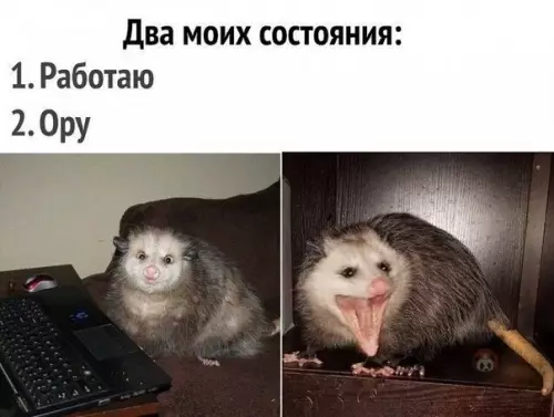 Смешная картинка №524340 Жиза