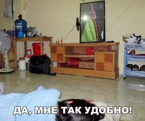 Смешная картинка №200694