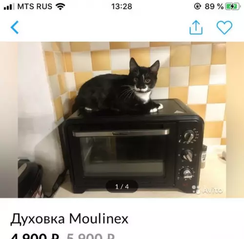 Смешная картинка №458750 Котик-продажник

На сайте по продаже вещей наткнулась на объявление. Само по себе оно обычное, но вот фотографии- такой милый котик *^_^*
