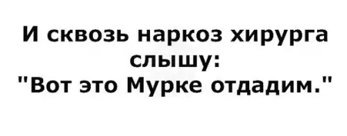 Смешная картинка №354689 Мурка тоже хочет кушать