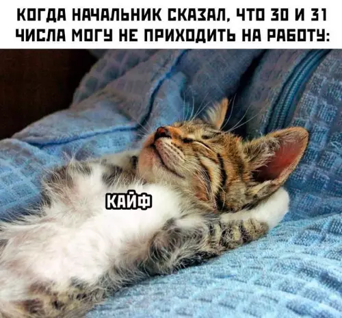 Смешная картинка №714135