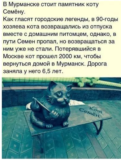 Смешная картинка №272281