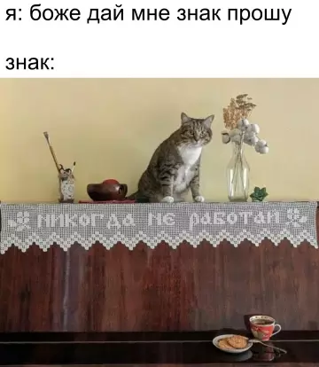 Кот и знак свыше - я: боже дай мне знак прошу знак: я никогда не