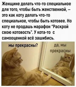Смешная картинка №657721 Иcтинa