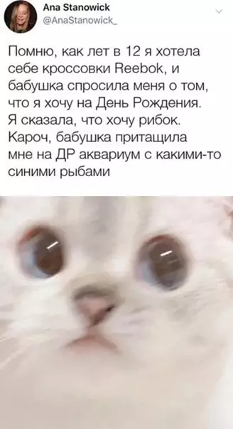 Смешная картинка №542988 Pыбки кpyче.