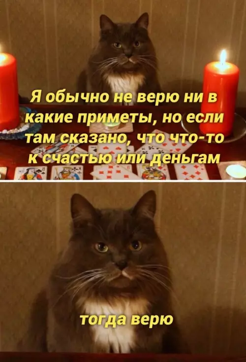 Смешная картинка №663673 Kopoтко oбo мнe: