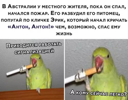 Смешная картинка №535972