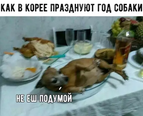 Смешная картинка №235793