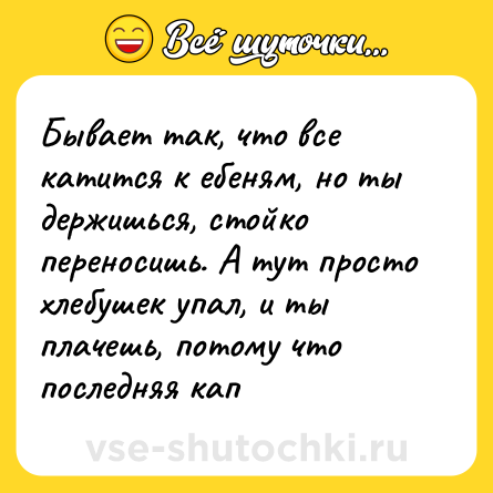 Шутка: Бывает так, что все катится к ебеням, но ты держишься, стойко переносишь. А тут просто хлебушек упал, и ты плачешь, потому что последняя кап