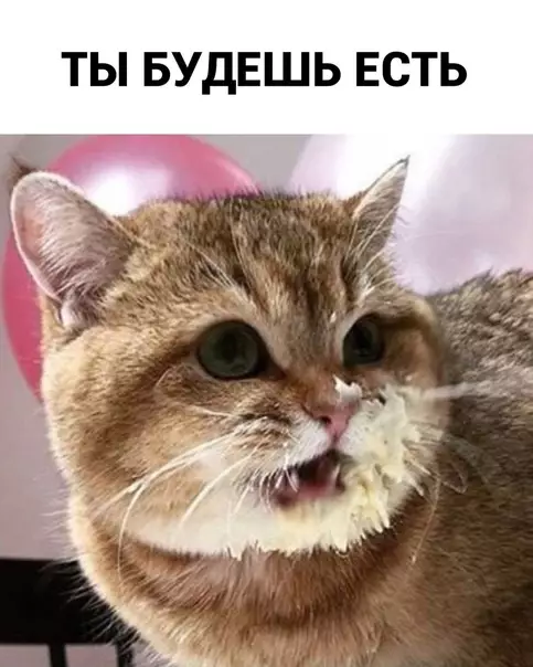 продолжение Смешная картинка №574034